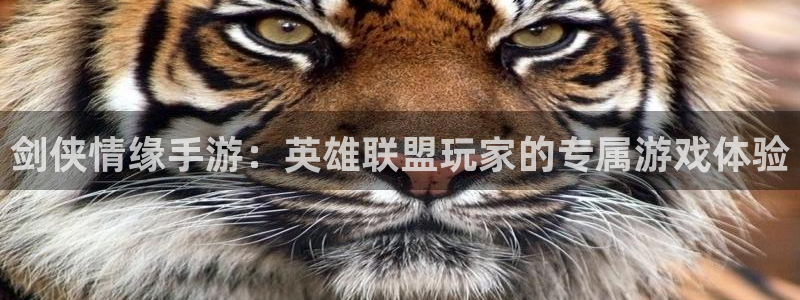 庄闲游戏：剑侠情缘手游：英雄联盟玩家的专属游戏体验