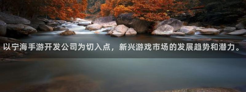 庄闲游戏哪里：以宁海手游开发公司为切入点，新兴游戏市场的发展