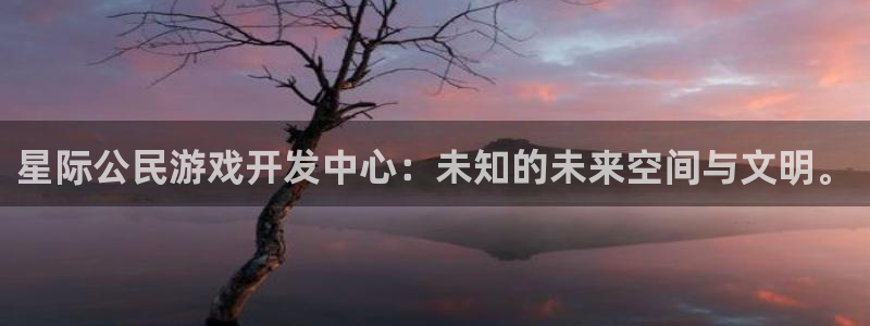 庄闲的规则：星际公民游戏开发中心：未知的未来空间与文明。