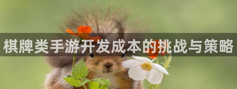 庄闲游戏稳赢方法：棋牌类手游开发成本的挑战与策略
