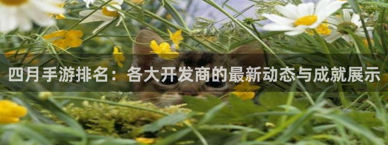 庄闲玩法谁发明：四月手游排名：各大开发商的最新动态与成就展示