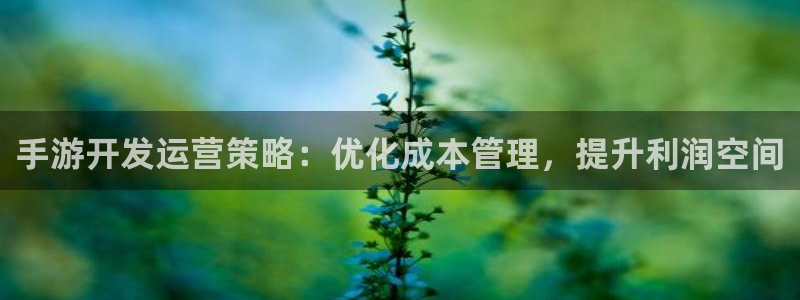 庄闲和游戏机