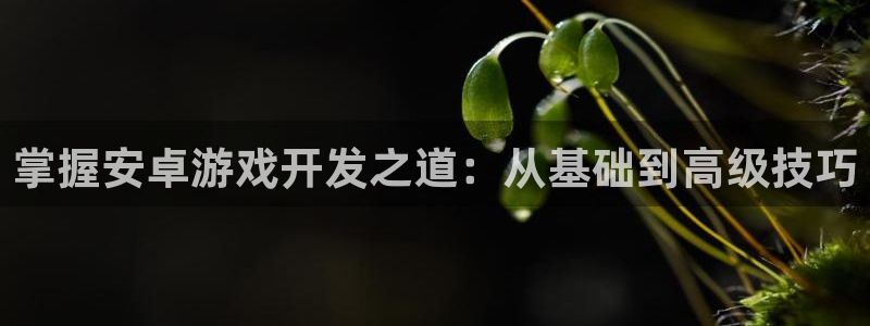 庄闲玩法规则详解：掌握安卓游戏开发之道：从基础到高级技巧