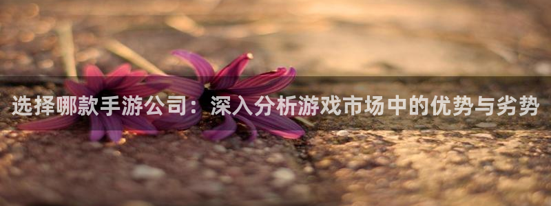 庄闲都是21是谁赢：选择哪款手游公司：深入分析游戏市场中的优