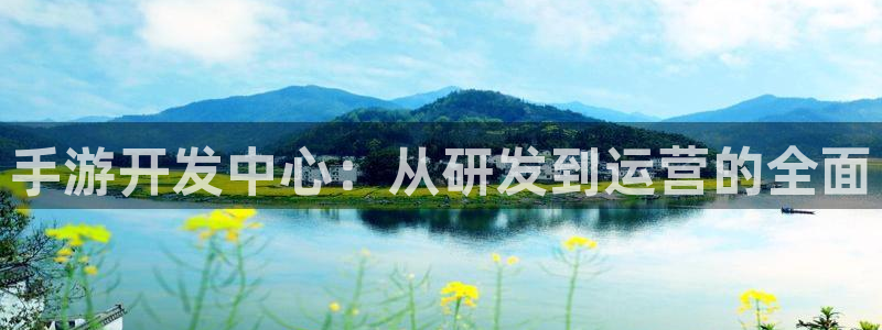 庄闲都是21是谁赢：手游开发中心：从研发到运营的全面