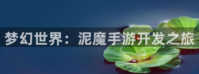 庄闲是什么玩法：梦幻世界：泥魔手游开发之旅