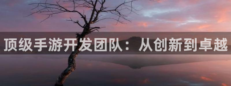 庄闲推算软件安卓：顶级手游开发团队：从创新到卓越