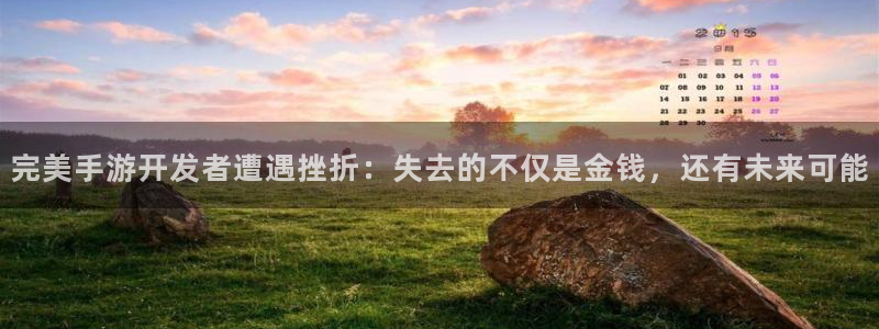 庄闲和游戏有限公司：完美手游开发者遭遇挫折：失去的不仅是金钱