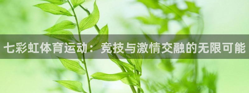 风速体育官网