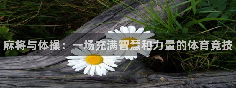 风速体育cba直播