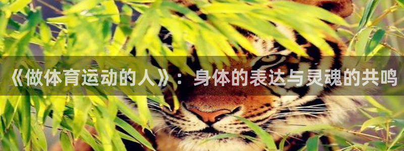 风速体育下载：《做体育运动的人》：身体的表达与灵魂的共鸣
