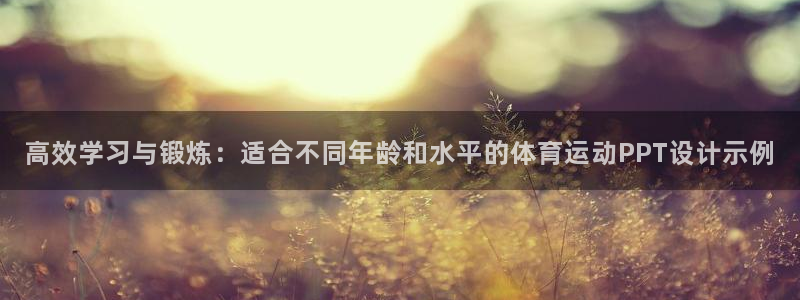 风速体育官网：高效学习与锻炼：适合不同年龄和水平的体育运动PPT设计示例