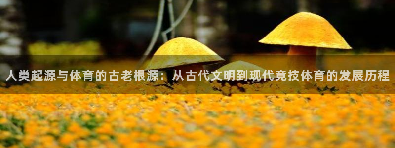 风速体育nba免费直播：人类起源与体育的古老根源：从古代文明到现代竞技体育的发展历程