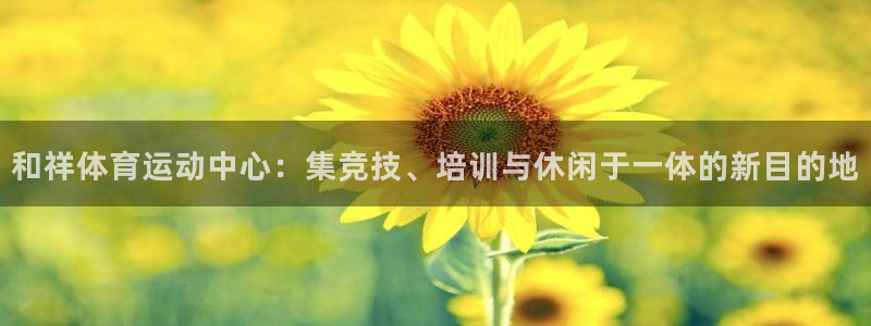 风速体育：和祥体育运动中心：集竞技、培训与休闲于一体的新目的地