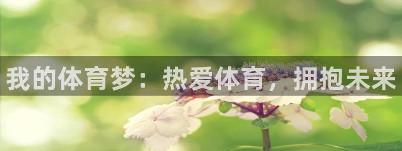 风速体育app官方下载：我的体育梦：热爱体育，拥抱未来