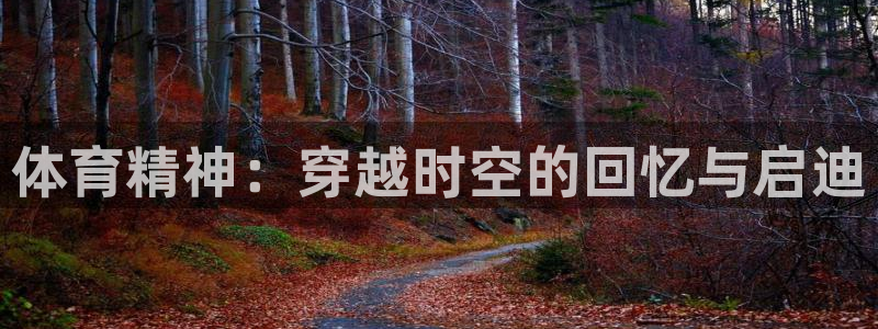 风速体育直播app：体育精神：穿越时空的回忆与启迪